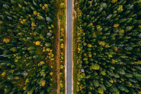 Aerial view of rural road and colorful autumn forest in Finland Lapland.