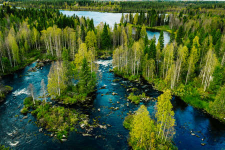 Aerial view of fast blue river in beautiful green spring forest in Finland.