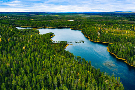 Aerial view of wild green forests and blue lakes and rivers in summer Finland