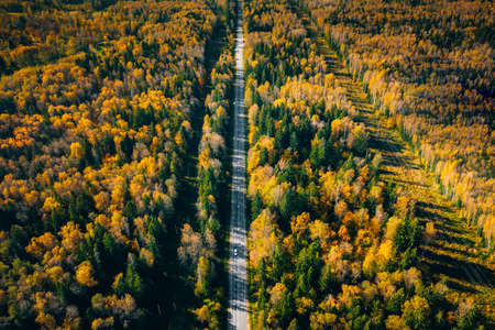 Aerial view of road in autumn forest with red and orange leaves. Autumn Fall road with golden colors in the woods.の写真素材
