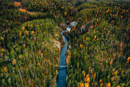 Aerial view of fall forest and blue river with bridge in Finland. Beautiful autumn landscape.の写真素材