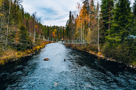Aerial view of fall forest and blue river with bridge in Finland. Beautiful autumn landscape.の写真素材