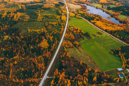 Aerial view of road and fall forest with autumn colorful trees in Finland. Beautiful autumn landscape.の写真素材