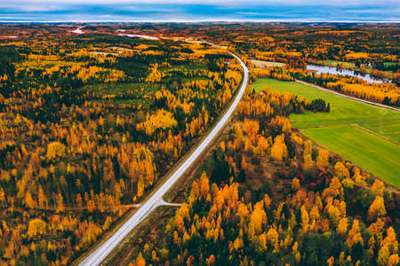 Aerial view of road and fall forest with autumn colorful trees in Finland. Beautiful autumn landscape.の写真素材