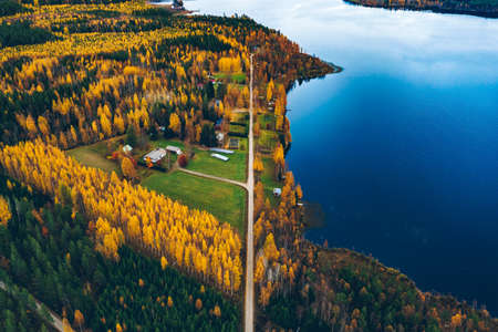 Aerial view of road and fall forest with autumn colorful trees in Finland. Beautiful autumn landscape.の写真素材