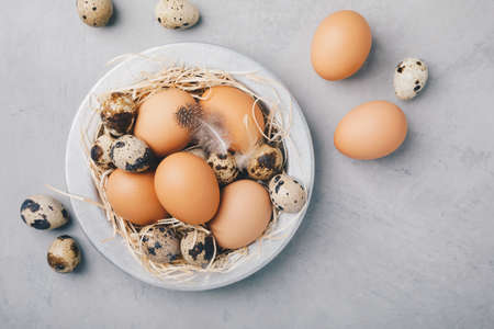 Eggs. Raw organic farm chicken and quail eggs in bowl on gray stone background, top view