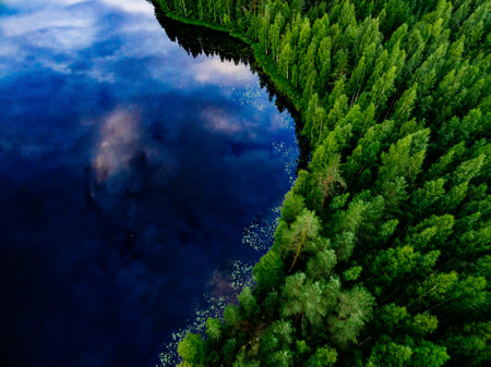 Aerial view of blue water lake and green summer woods in Finland.