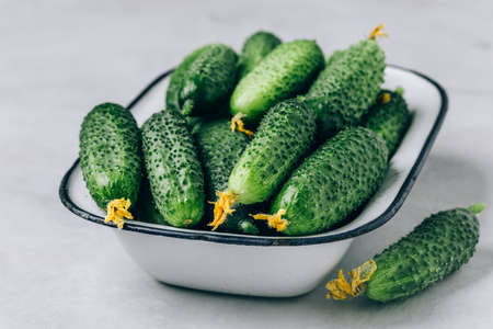 cucumbers. Fresh green organic cucumbers in bowl on gray stone background.の写真素材