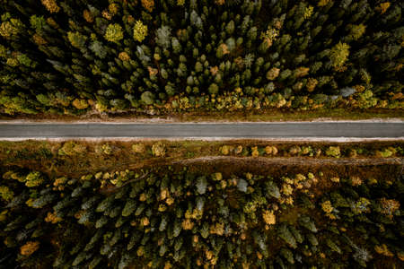 Aerial view of road through fall woods with colorful trees in Finlandの写真素材