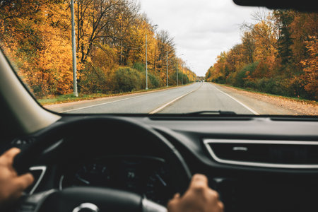 Man driving car on the country road in autumn. rear viewの写真素材