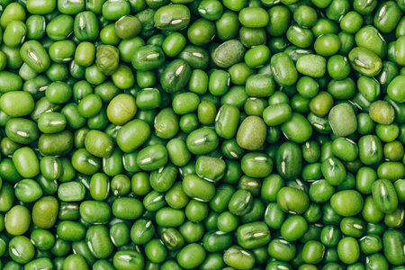 Green Gram Mung Beans background. Vegan food conceptの写真素材