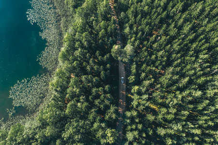 Aerial view road with car in green woods by blue lake in summer Finland.の写真素材