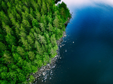 Aerial view of blue lake with stone coast and green tree forests on a sunny summer day in Finland.の写真素材