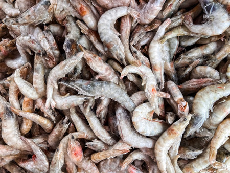Frozen shrimp prawns. Raw shrimp background. Pile of frozen shrimps background. Close-up of frozen shrimps. Shrimp with ice, top view.の写真素材