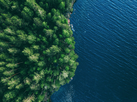 Aerial drone view of blue water lake and green summer woods in Finland.