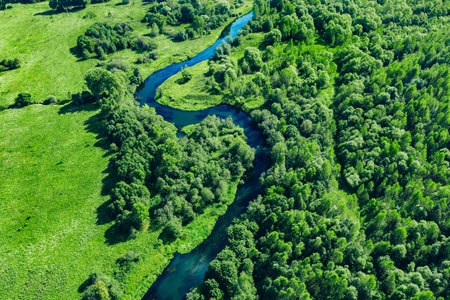 Aerial drone view of blue curved river and green summer woodsの写真素材