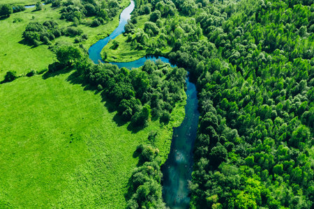 Aerial drone view of blue curved river and green summer woodsの写真素材