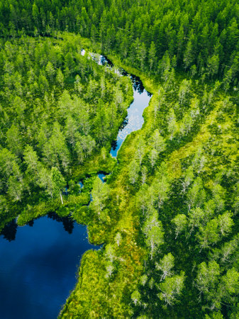 Aerial view of blue river water through green pine forest in National Park of Finland.の写真素材