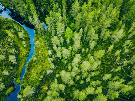 Aerial view of blue river water through green pine forest in National Park of Finland.の写真素材