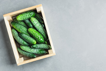 Wooden crate full of cucumbers. The crate is on a gray surface. The cucumbers are green and shinyの写真素材