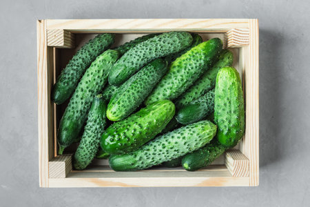 Crate full of cucumbers. The cucumbers are green and have a lot of bumps on themの写真素材