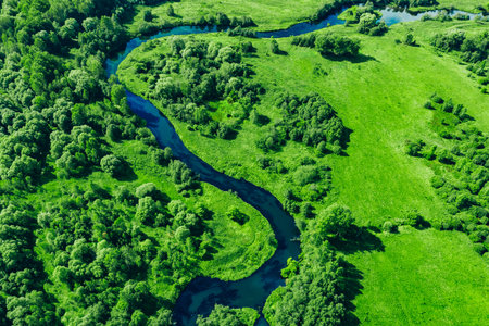 Aerial drone view of deep blue river and green summer woods