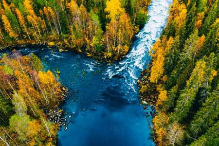 Aerial view of fast river flow through the rocks and colorful forest. Autumn in Finland, Oulanka national park.の写真素材