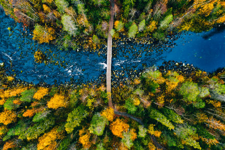 Aerial view of fast river flow through the rocks and colorful forest. Autumn in Finland, Oulanka...