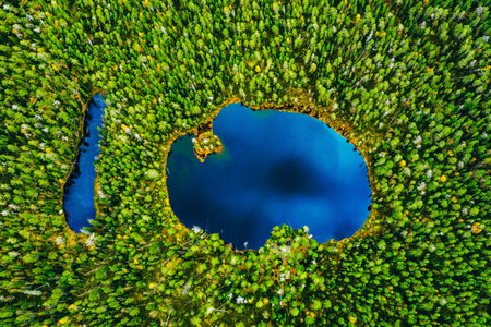 Aerial drone view of blue water lake and tree woods in fall Finland