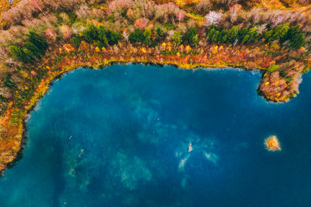 Aerial drone view of colorful trees and blue water lake or river in autumn season.の写真素材