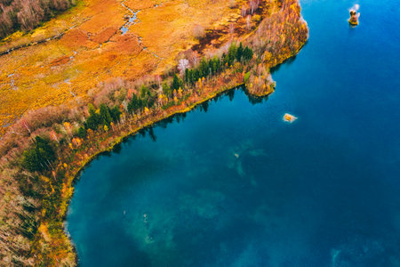 Aerial drone view of colorful trees and blue water lake or river in autumn season.の写真素材