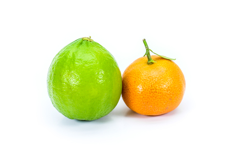 Miniature corsican clementine and miniature green lemon isolated on whiteの写真素材