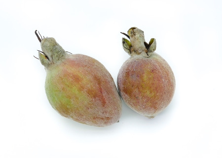 Pineapple Guava fruits Feijoa Sellowiana are very sweet and emits long lasting perfumeの写真素材