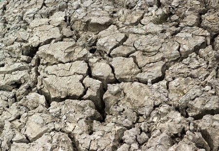 Cracked dry gray ground Background の写真素材