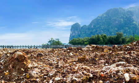 Rock beach from shell in Krabi, Thailandの写真素材
