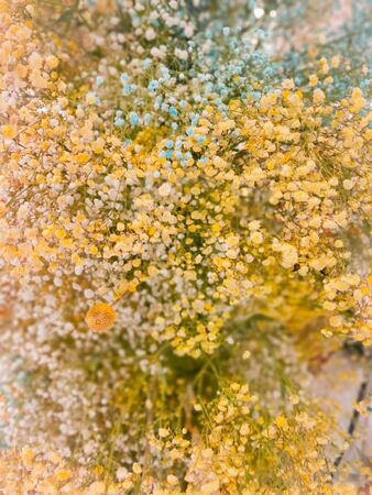 background flower decoration wallの写真素材