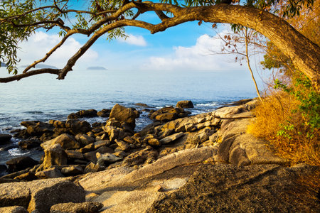 Krating cape in summer Phuket Thailand with tree and blue skyの写真素材