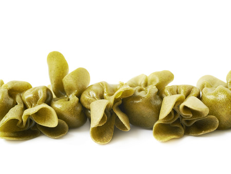 Line of sacchettoni stuffed sacchetti pasta isolated over the white backgroundの写真素材
