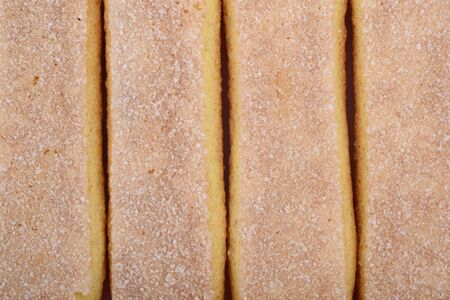 Surface covered with the multiple ladyfinger savoiardi biscuit cookies as a backdrop texture...