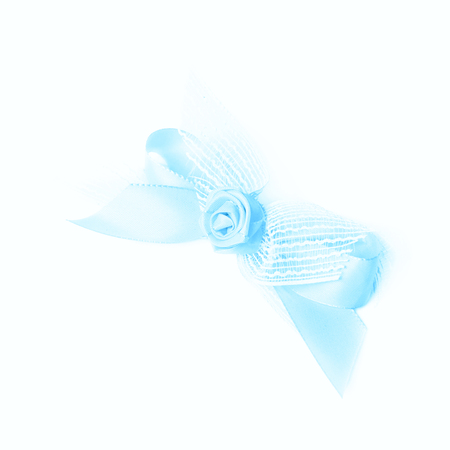 Decorational bow with the tape flower, isolated over the white backgroundの写真素材