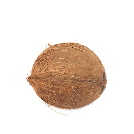 Single whole coconut isolatedの写真素材