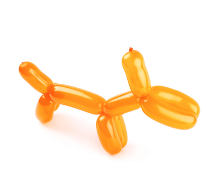 Puppy made of modelling balloonの写真素材