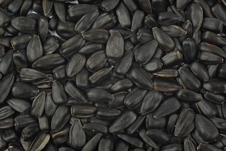 Surface coated with the sunflower seedsの写真素材