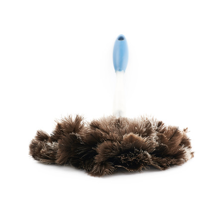 Feather stick duster isolated over the white backgroundの写真素材