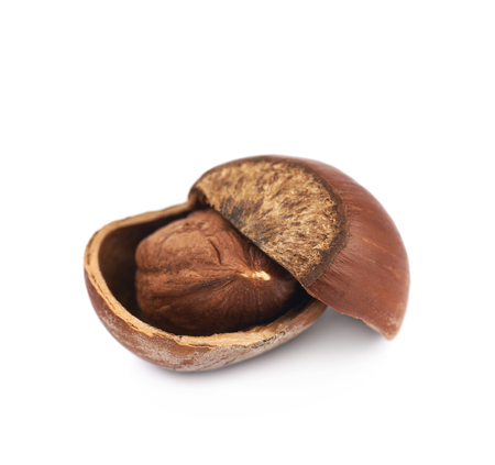 Cracked hazelnut isolated over the white background