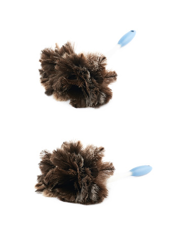 Feather stick duster isolated