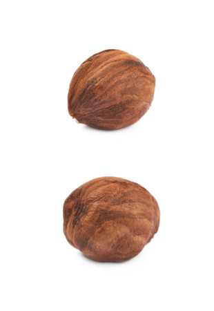 Single hazelnut isolatedの写真素材