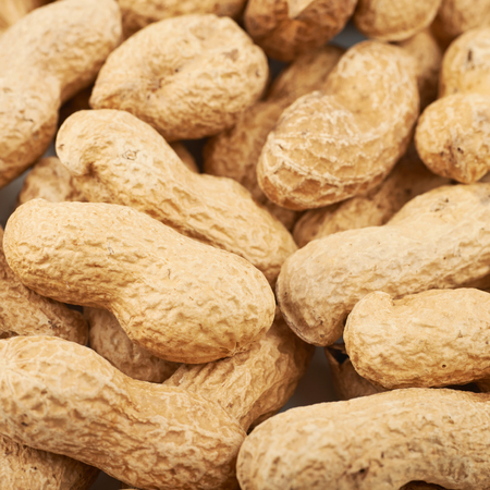 Close-up crop of a surface coated with the peanuts as a food backdrop compositionの写真素材