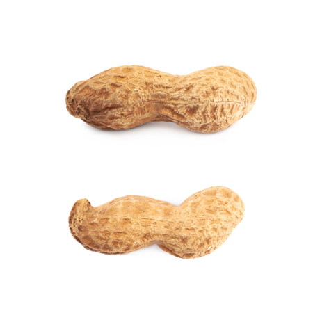 Single peanut in a shell isolated over the white background, set of two different foreshorteningsの写真素材