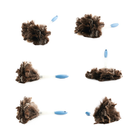 Feather stick duster isolated